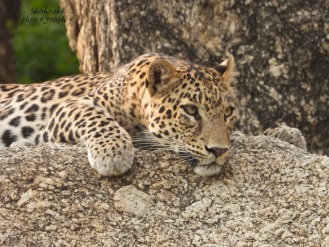 IMG 20231029 113706 1024x768