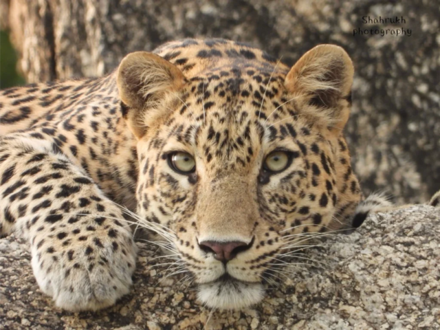 IMG 20240217 113004 867 1024x768