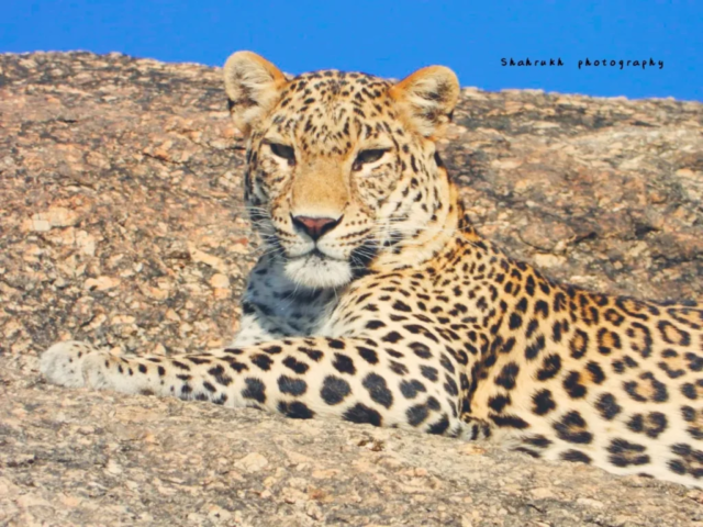 IMG 20240219 204113 1 1024x768