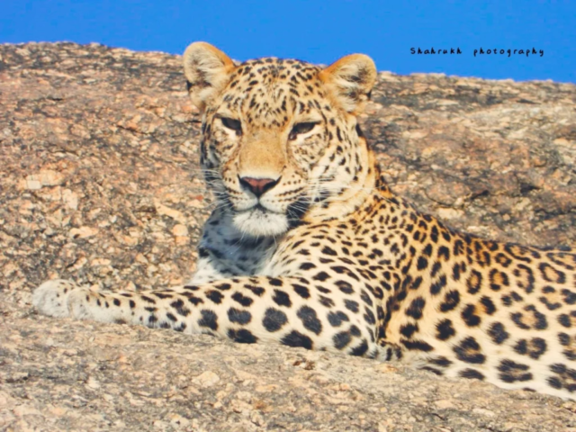 IMG 20240219 204113 1024x768