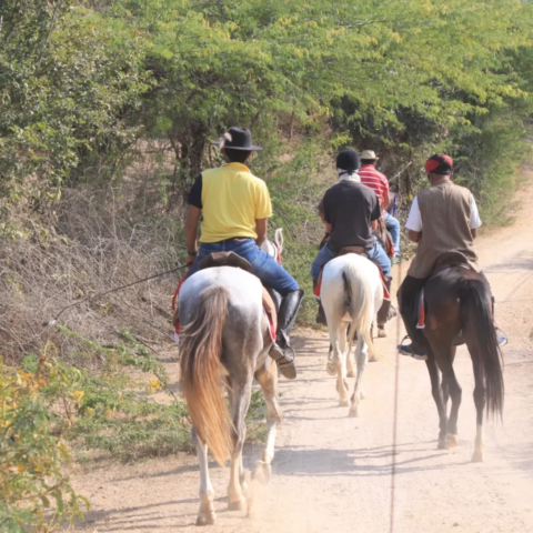 IMG 20240225 131008 591 1024x1024