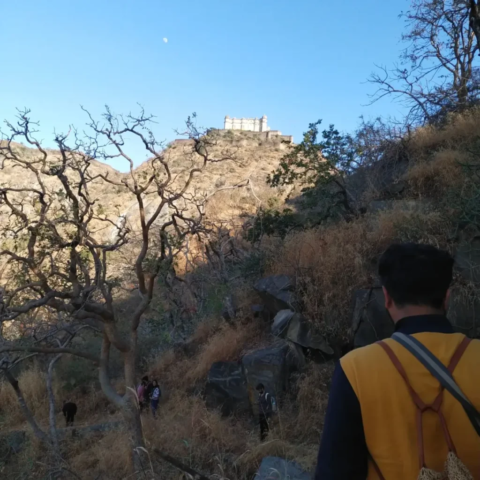 IMG 20240409 115447 206 1024x1024