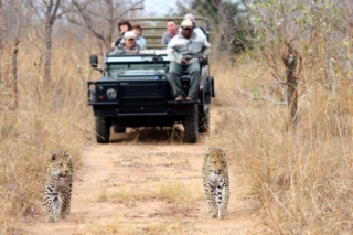 savanna safari 19 min 1 scaled 1 1024x683